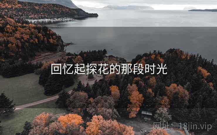 回忆起探花的那段时光  第2张