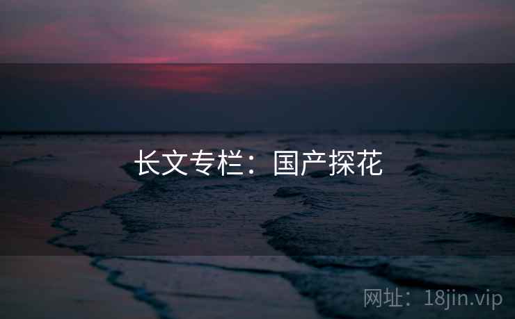 长文专栏：国产探花