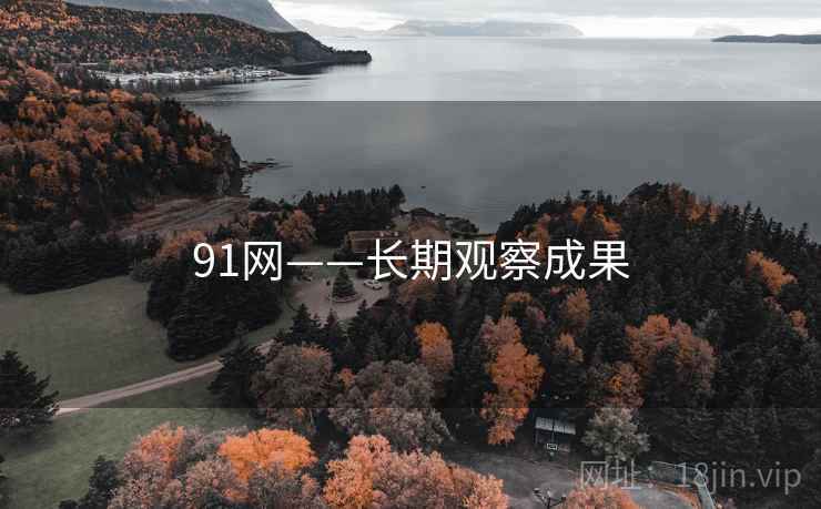 91网——长期观察成果