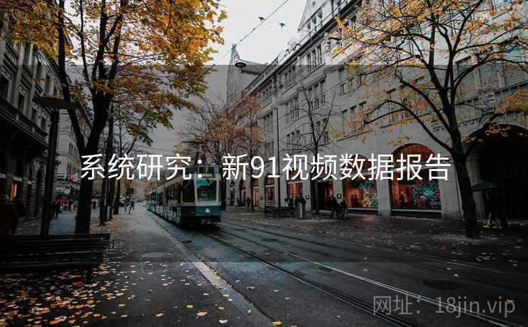 系统研究：新91视频数据报告